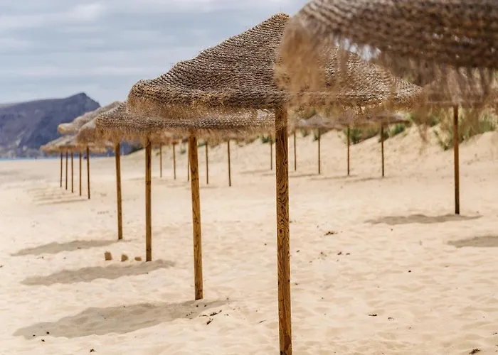 The Navigator 酒店 圣港