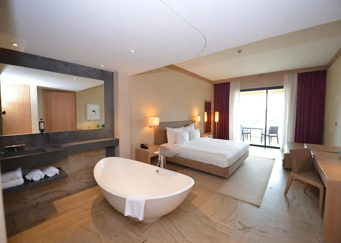 The Navigator 圣港