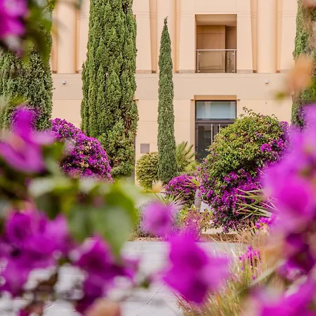 The Navigator Porto Santo