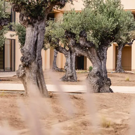 The Navigator Hotel 5*