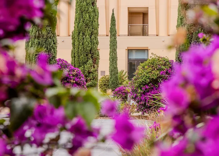 The Navigator Porto Santo