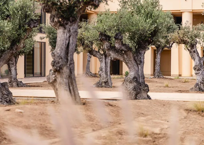 The Navigator Hotel 5*